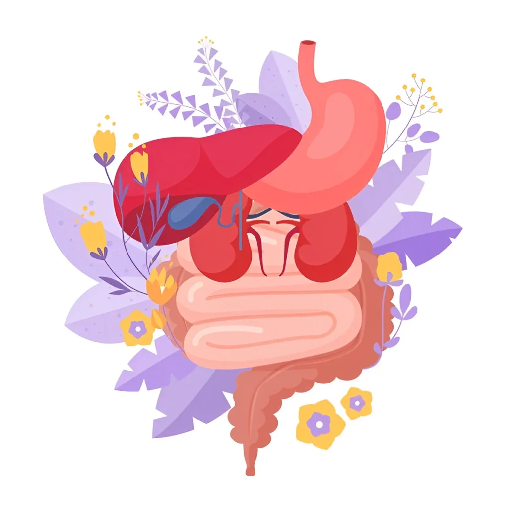 Liver and Kidney Support 