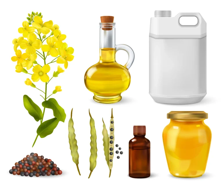 canola oil